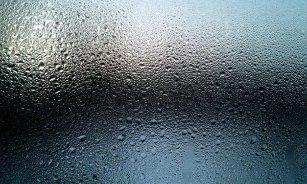 Best Practices for Breaking the Glass Ceiling: Empowering Women in Leadership