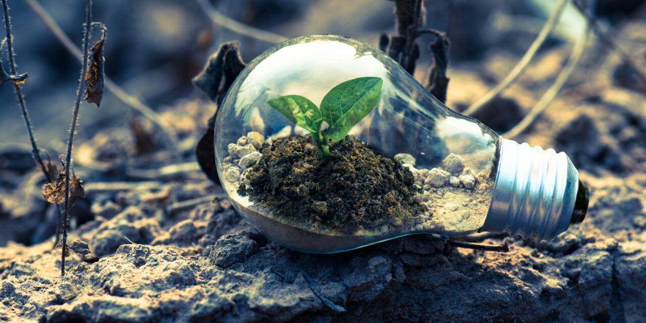 Exploring the Best Personal Development Courses for Growth