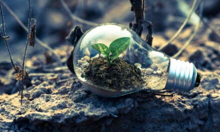 Exploring the Best Personal Development Courses for Growth