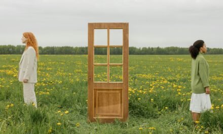 Trust, Boundaries, and Ambition in Co-Leadership: Navigating the Delicate Dance