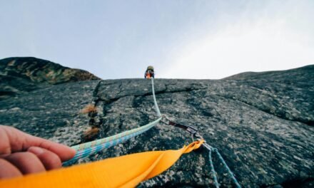 Trust, Boundaries, and Ambition in Co-Leadership: Navigating the Delicate Dance