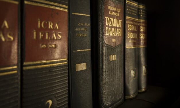 Equity vs. Revenue Share in Women-Led Ventures: What to Consider