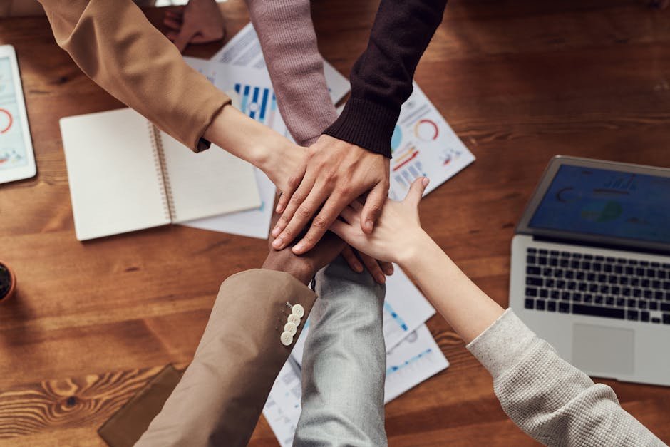 The Role of Shared Values in Finding the Right Partner
