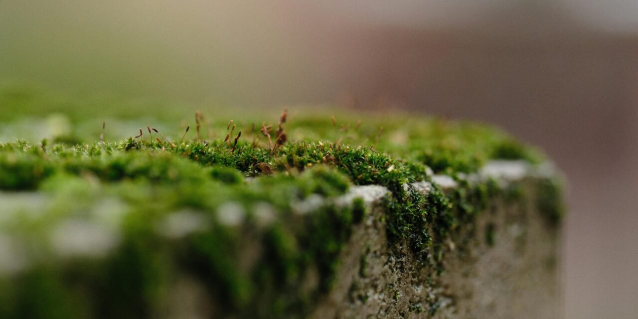 Building Resilience into Your Partnership Agreements