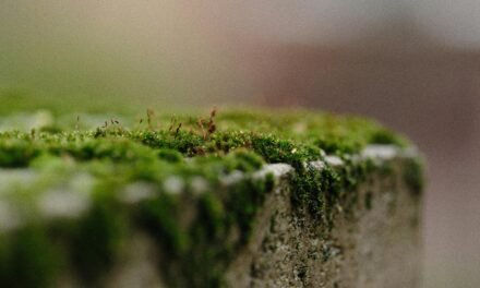 Building Resilience into Your Partnership Agreements